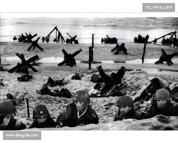 末日决战之终极幸存者指南