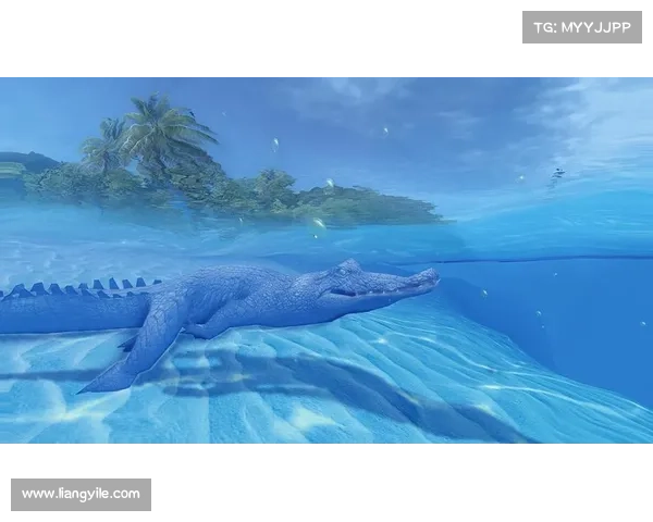 辐射岛:中文为中心的知识宝库 辐射岛:中文为中心的知识宝库